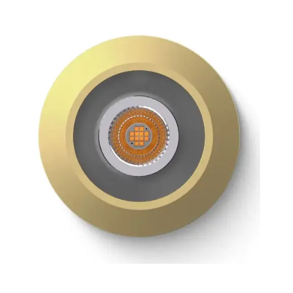 Spot LED Loxone RGBW Tree gold